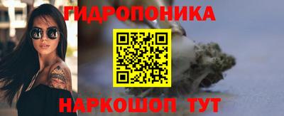 Альфа ПВП Будённовск
