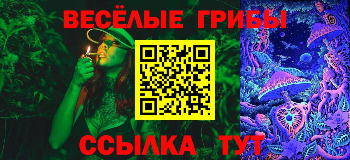 Псилоцибиновые грибы мухоморы Самара